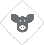 AGROALIMENTAIRE